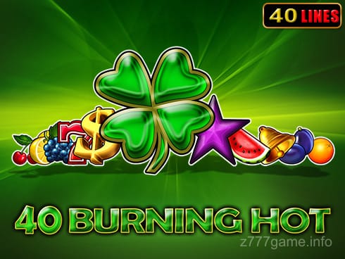 40 Burning Hot Game Image